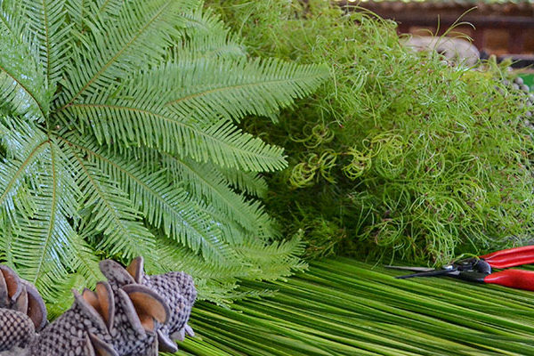 Native foliage on the workbench