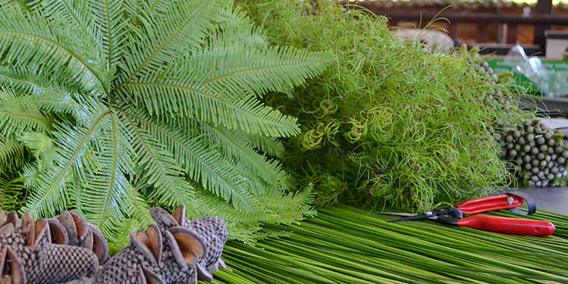 Native foliage on the workbench