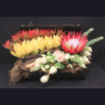 ARRANGEMENT ~ Designer : Marjorie Bouquet, Wildflowers Australia competition ~ Flowers & Foliage : leucadendron, king protea, seruria, gumnuts, woolly bush