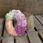 WREATH ~ Designer : Kate Esselmont, Wildflowers Australia competition ~Flowers : colour-graded waxflower
