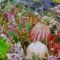 Assorted Native Bouquets