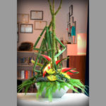 ARRANGEMENT ~ Designer : Premium Greens Australia ~ Puzzle Stix™, Emu Feather™, Flexi Grass™, Umbrella Fern™