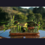 ARRANGEMENT ~ Designer : Marco Appelfeller ~ Foliage : Steel Grass, Puzzle Stix™, Didgery Sticks™, banksia sticks