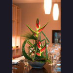 ARRANGEMENT ~ Designer : Premium Greens Australia ~ Steel Grass, Puzzle Stix™, Umbrella Fern™