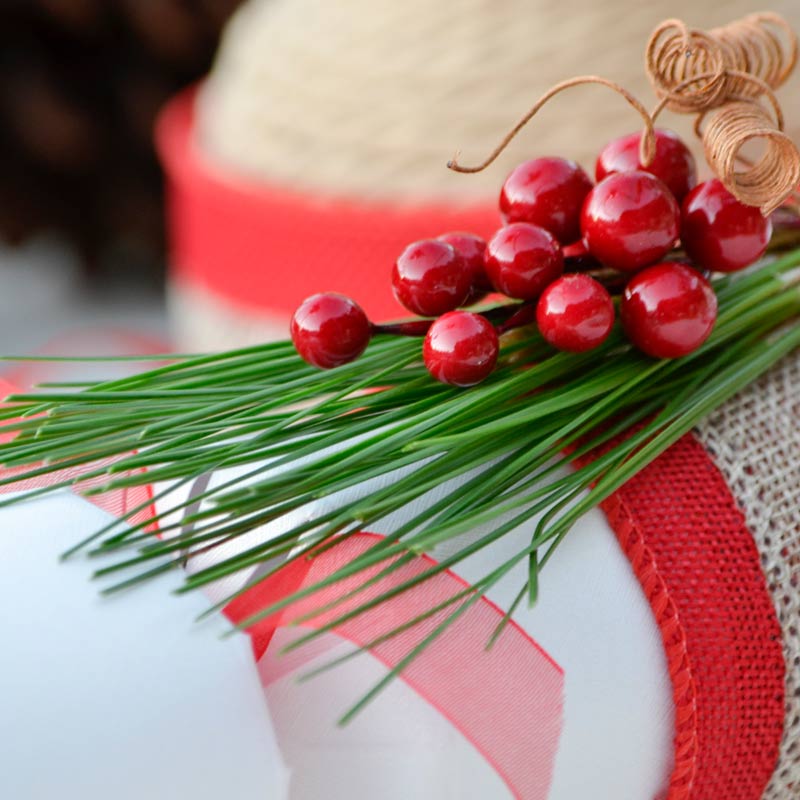 Aussie Pine Tails™ Christmas close-up