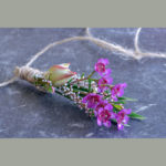 BUTTONHOLE ~ Designer : Premium Greens Australia ~ waxflower, thryptomene, serruria