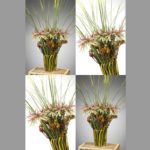 VASE ~ Designer : Flower Council Holland ~ Flowers & Foliage : kangaroo paw, Steel Grass